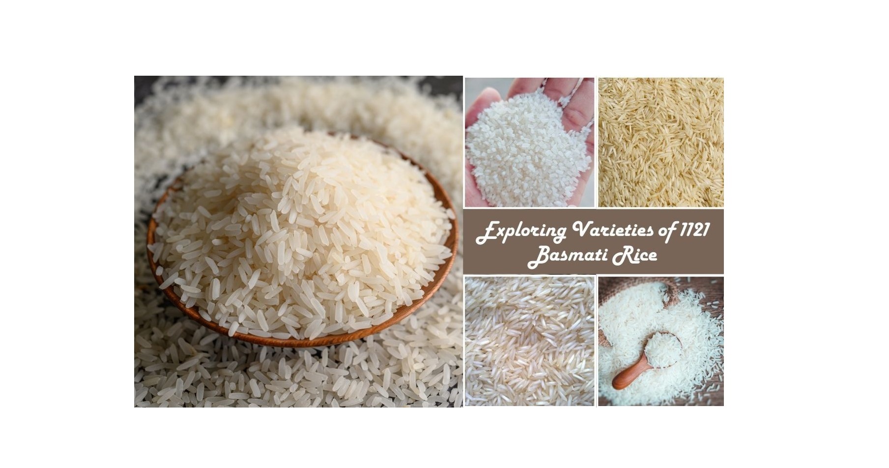 Exploring Varieties of 1121 Basmati Rice