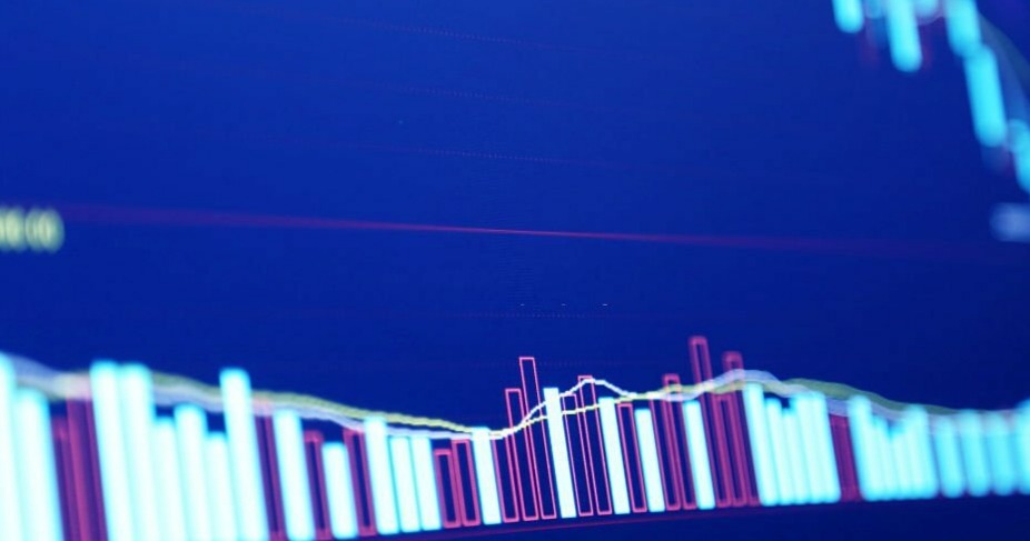 グローバルSTR識別サービス市場の規模、シェア、および2025年から2032年までの13.3%の年平均成長率（CAGR）予測