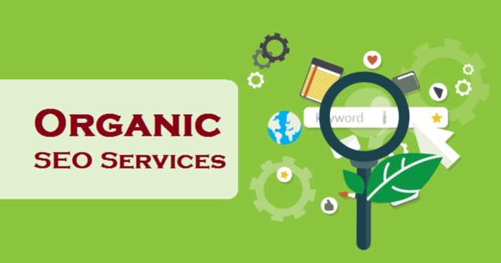 Unlocking Growth with Organic SEO Services: A Complete Guide for Businesses