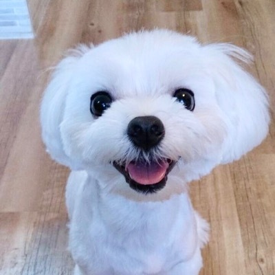 くっちー